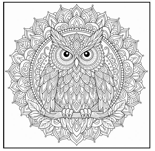 Mandala Dreams: 30 Days of Zen – eBook & Paper Book